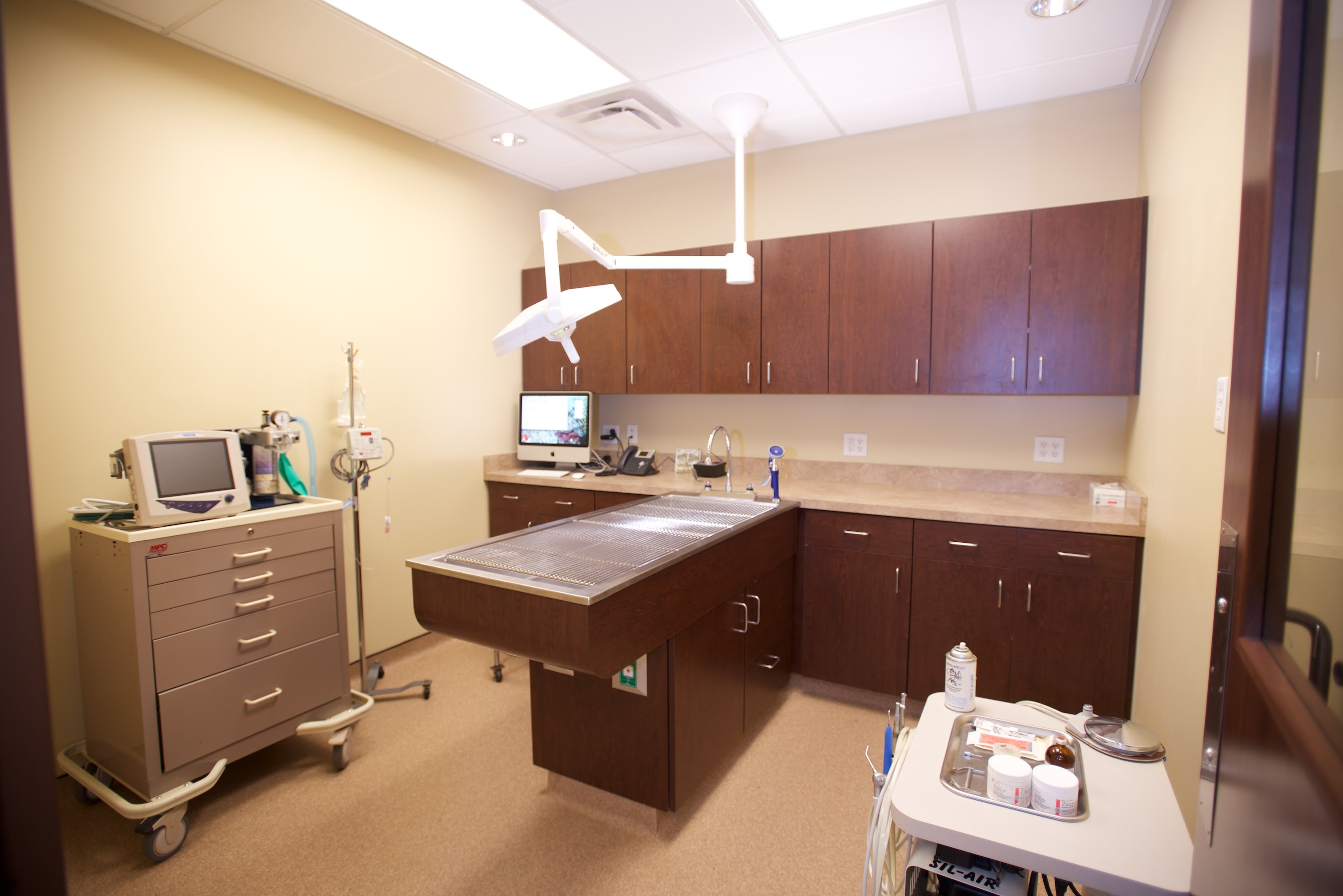 Eden Veterinary Clinic, PLLC