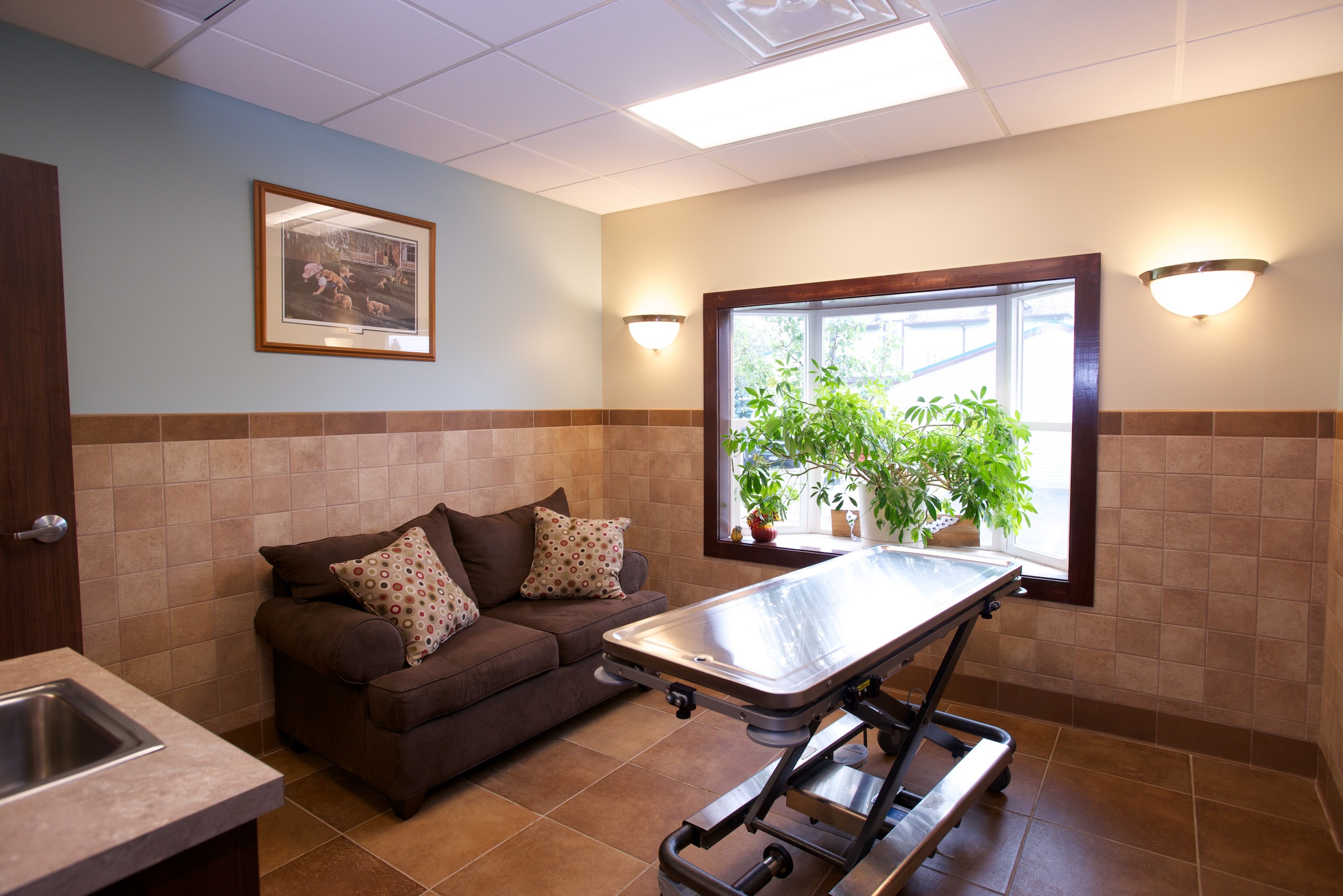 Eden Veterinary Clinic, PLLC