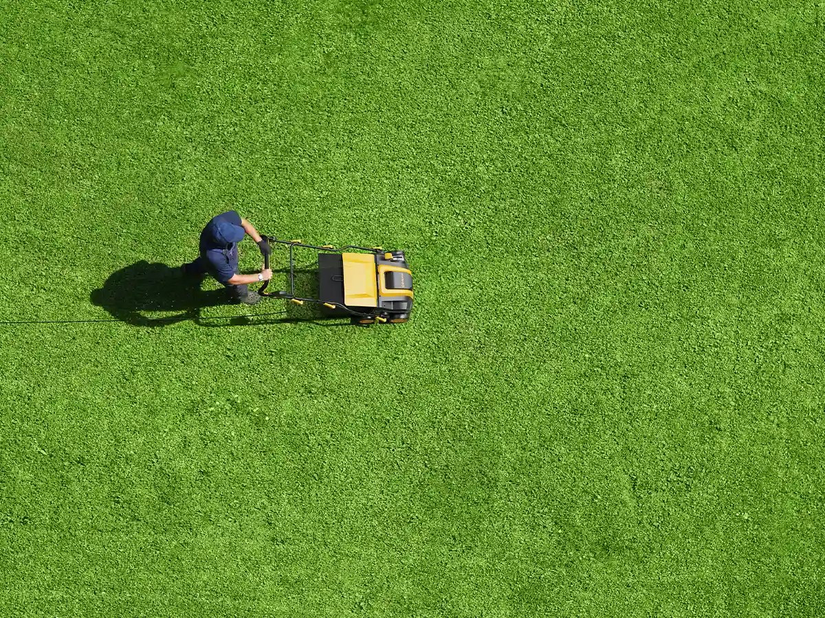 EVEAGE 16-Inch 15 Amp Electric Dethatcher & Scarifier - EVEAGE