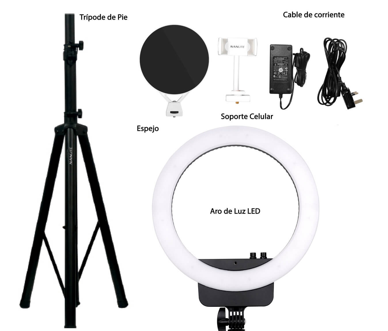 PROFESSIONAL LED RING LIGHT HALO 16 NANLITE Evelyn Prest