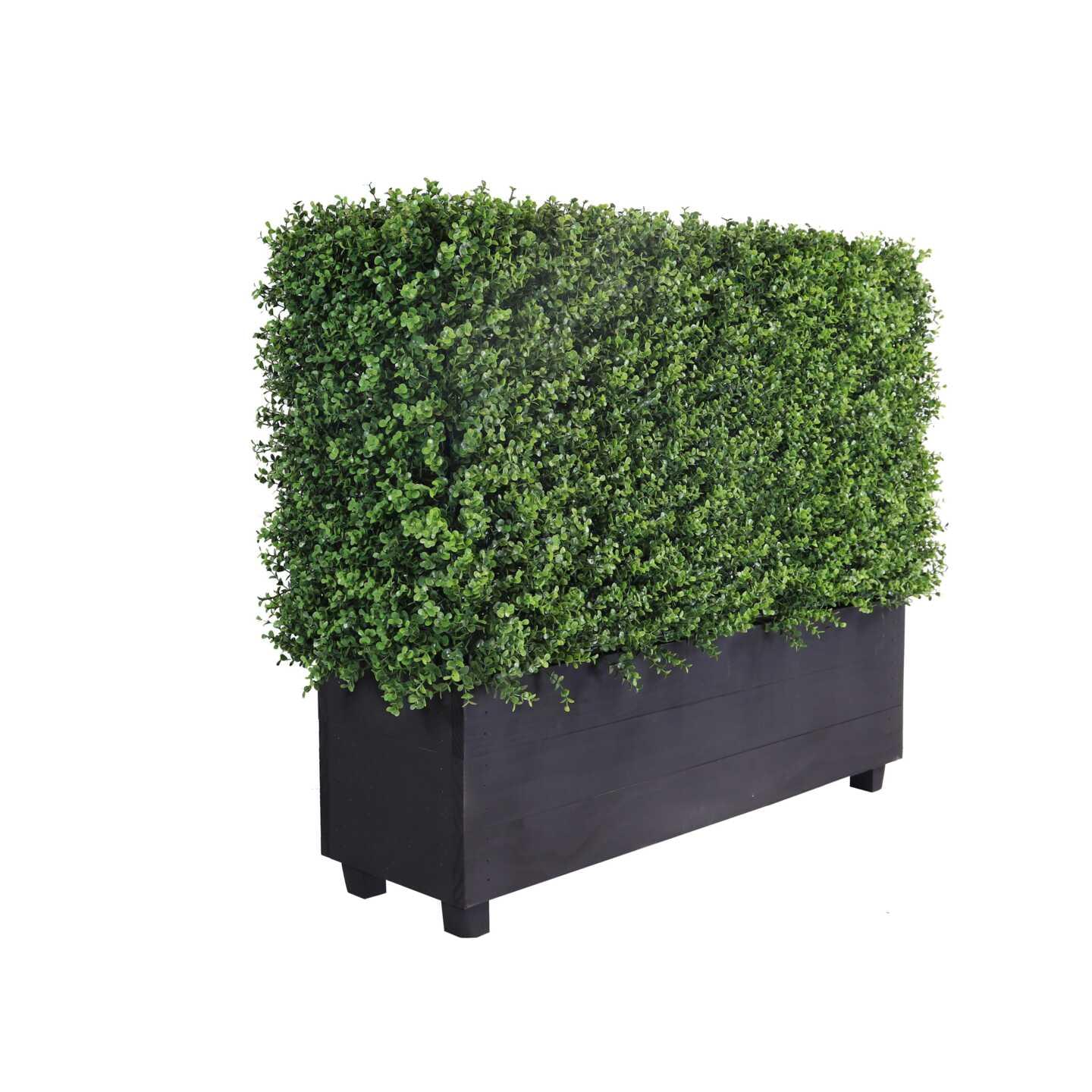 Artificial Hedge Hire Artificial Hedge for hire in NSW, VIC, ACT and QLD