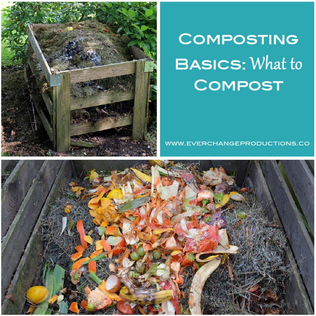 Composting Basics What to Compost