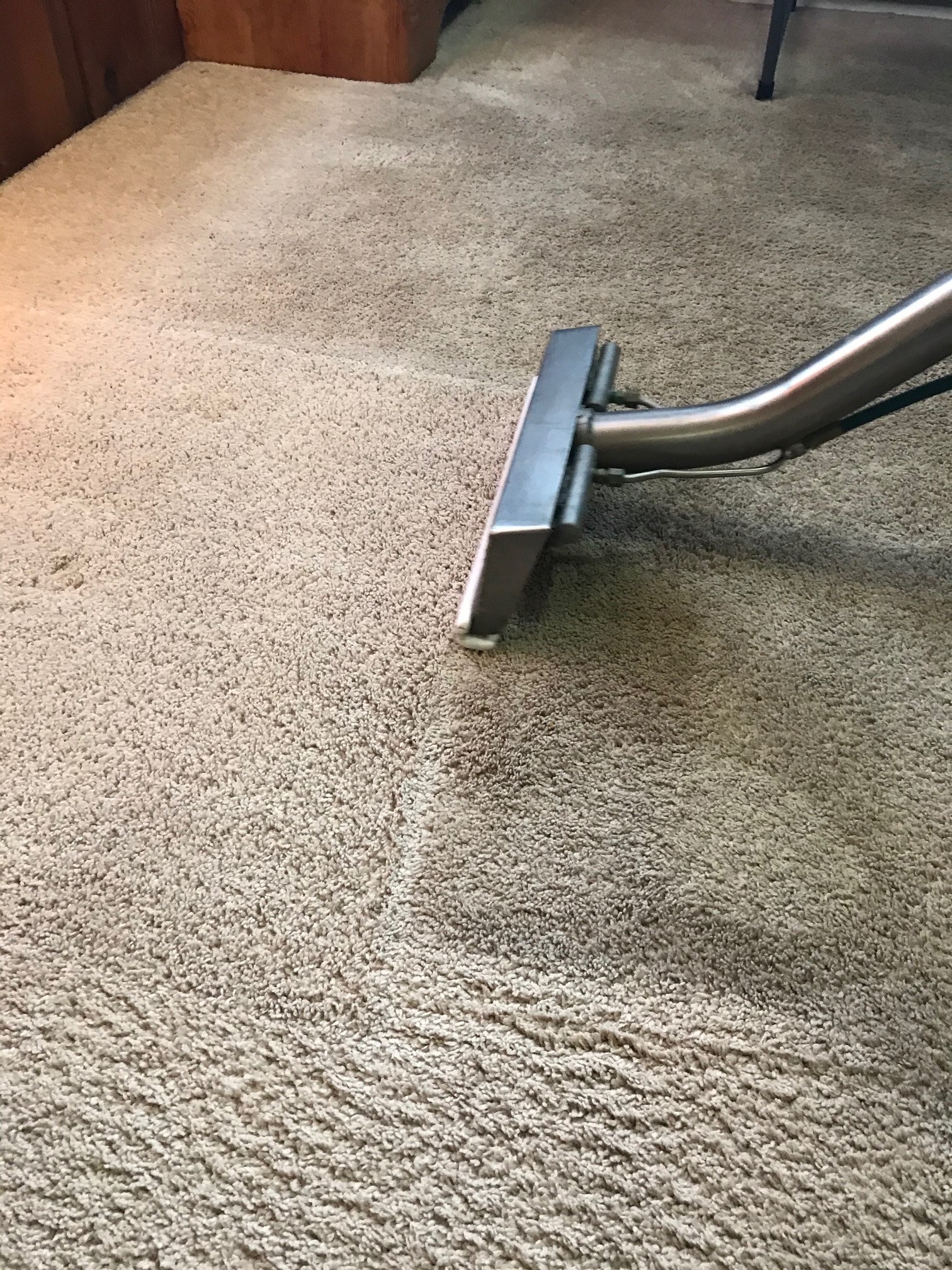 Carpet Cleaning