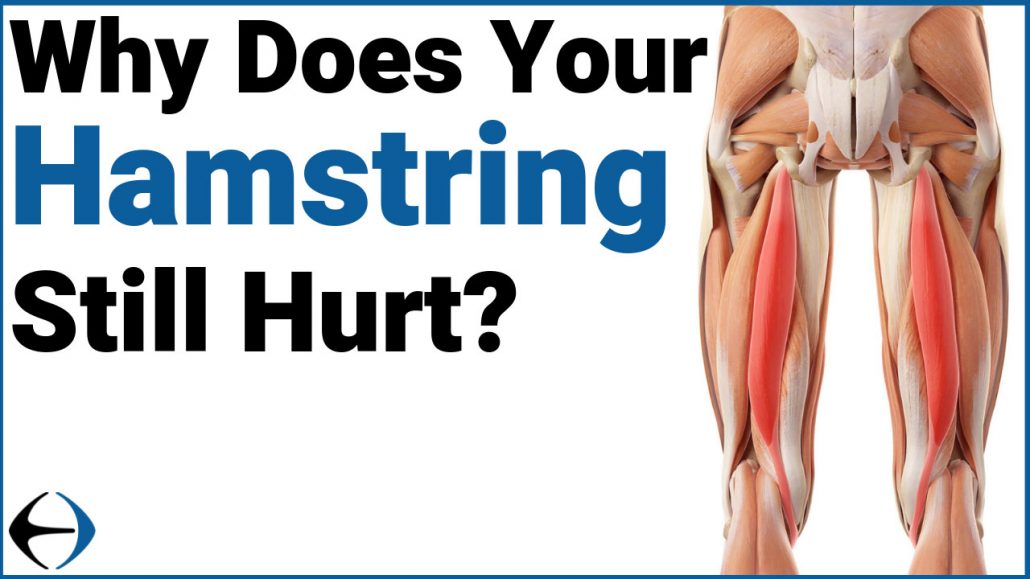 Hamstring Injury Recovery How Long Does A Pulled Hamstring Take To
