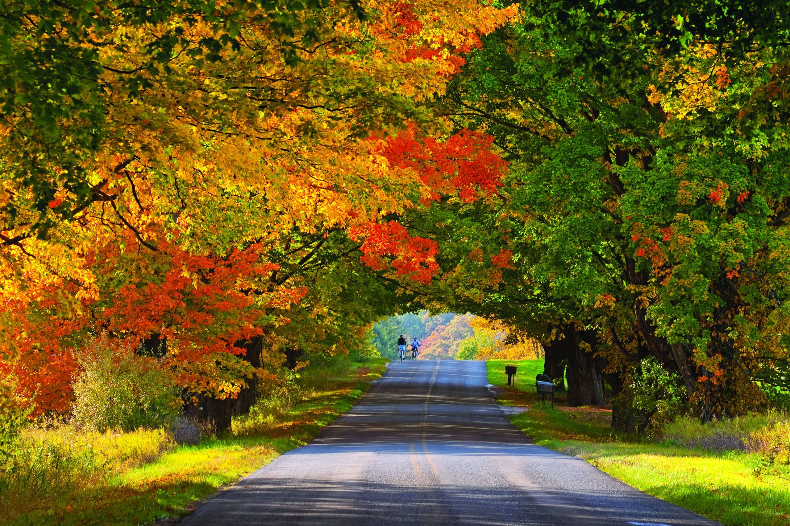 Catch the Fall Colors in Ludington, Michigan Everett Potter's Travel