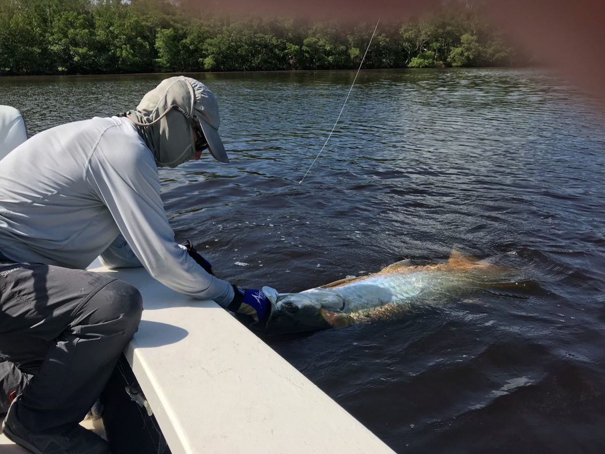 Everglades Fishing Photos Exciting Adventures in Florida