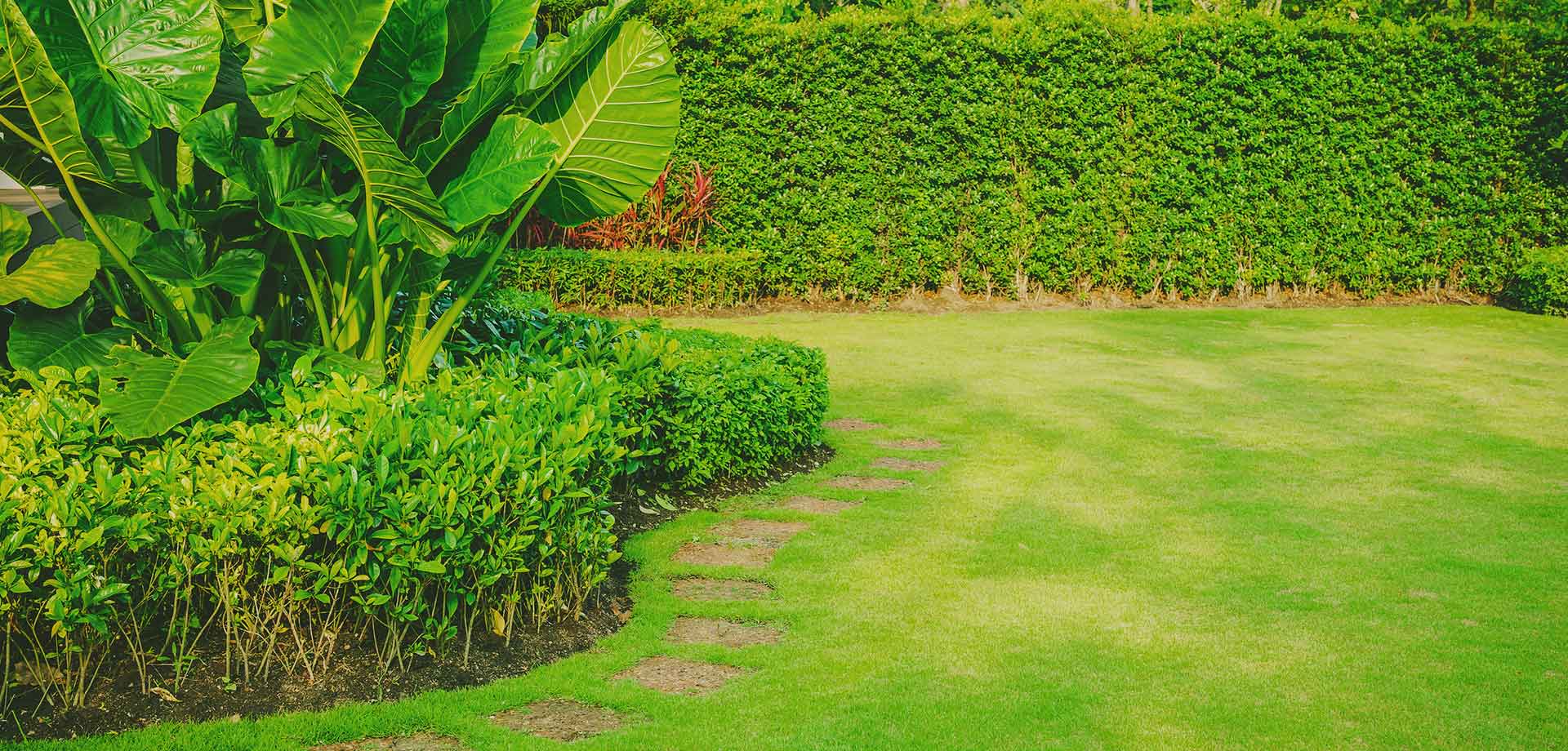 Home Evergreen Lawn & Tree Care Cheyenne, WY Landscaping & Tree