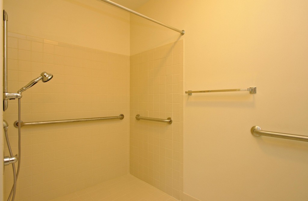 Lions Spring Evergreen Construction Company