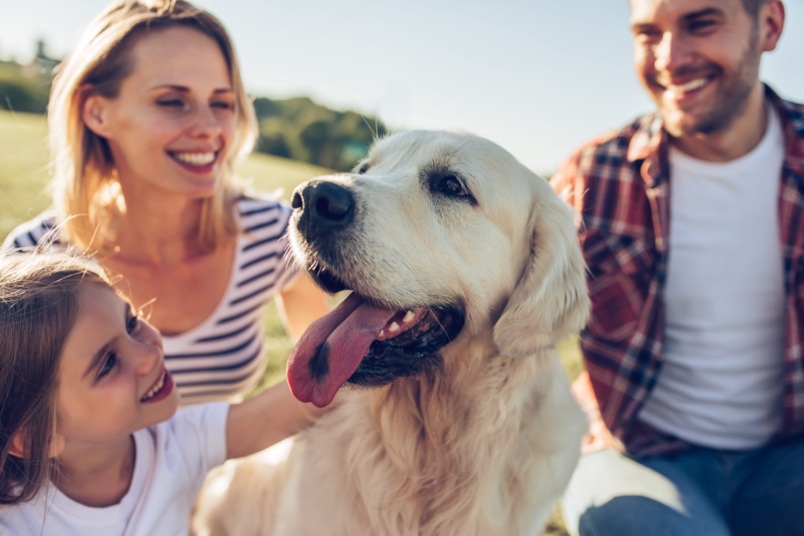 6 Tips To Help Your Dog Live Longer Ever Guide