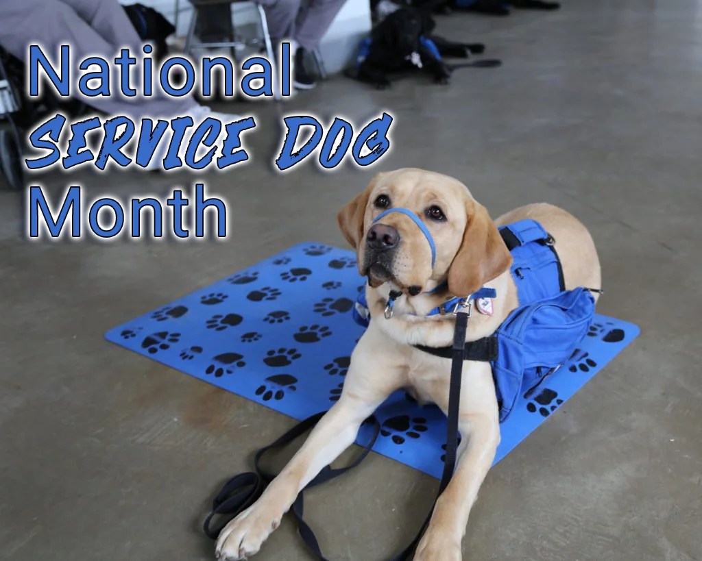 National Service Dog Month 2019 eVero Corporation