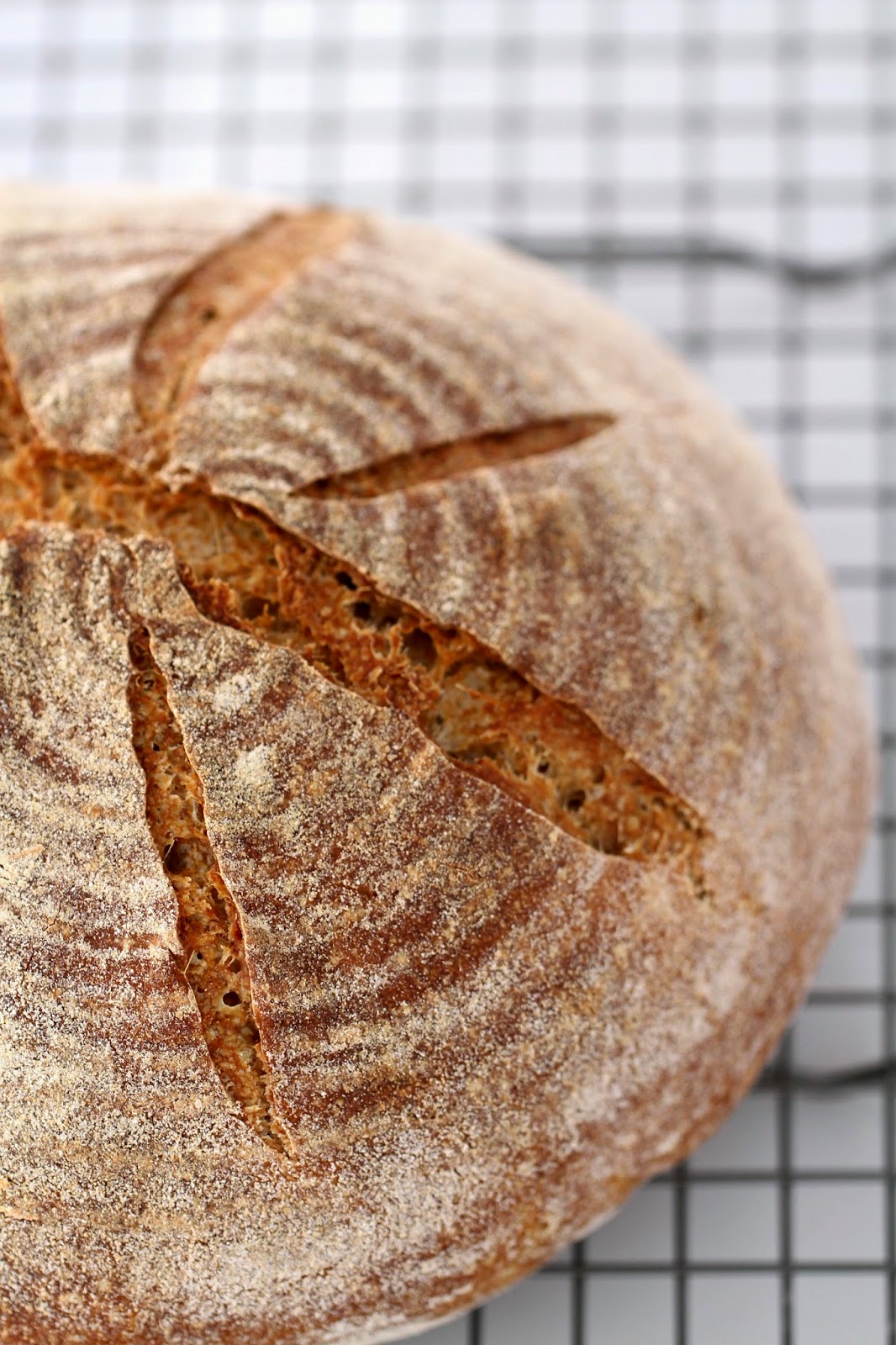 50 WholeRye and WholeWheat Bread Ever Open Sauce