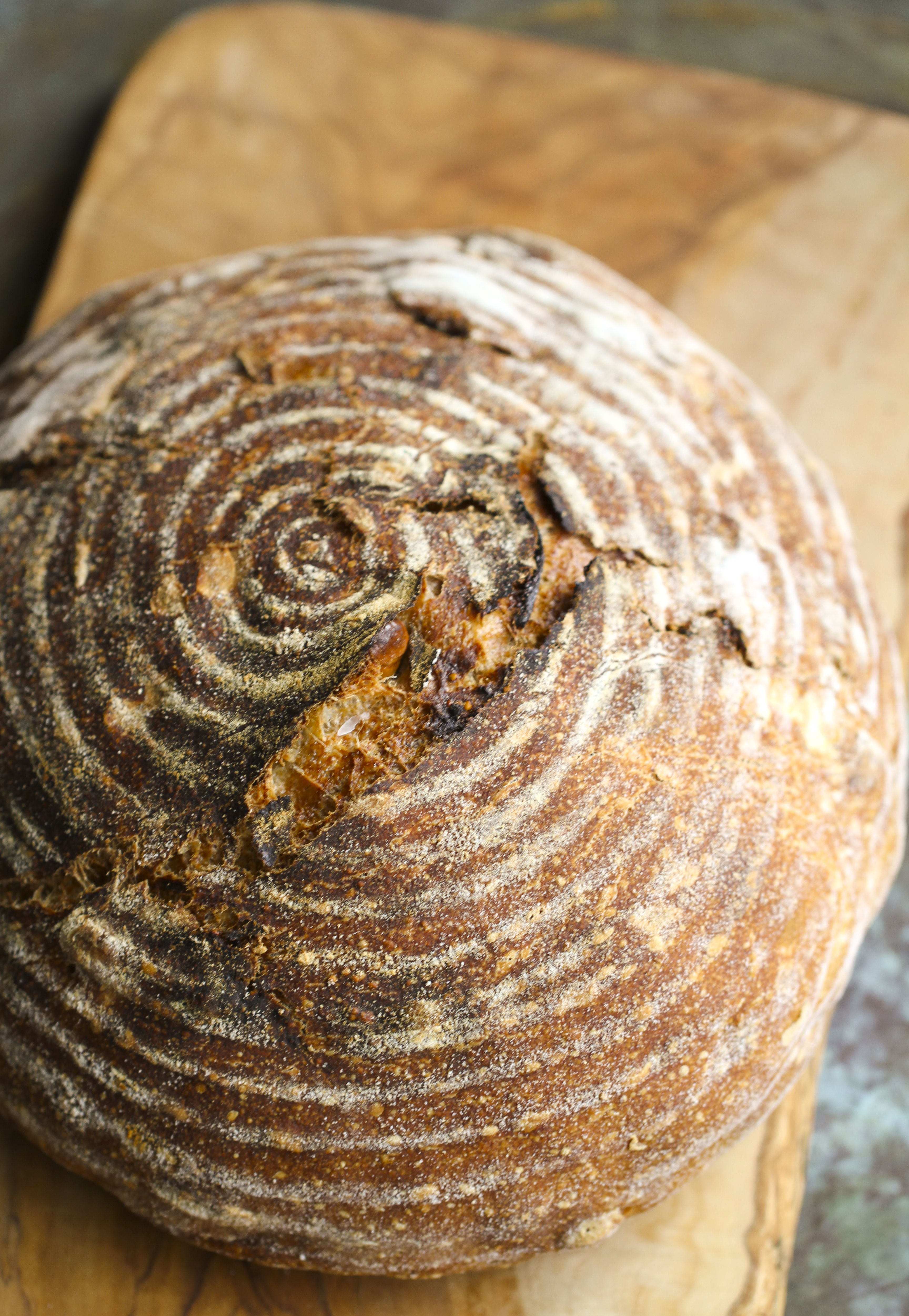 Fig and Hazelnut Levain Bread and a Fig Salad Ever Open Sauce