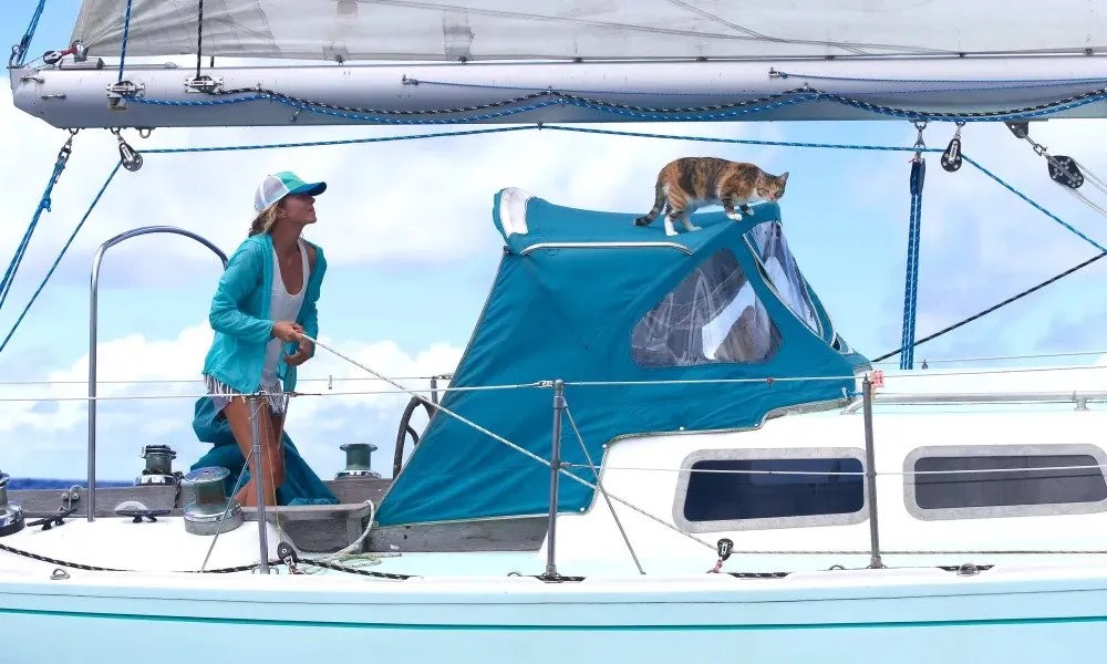 Best 5+1 Sailing Blogs Eversails