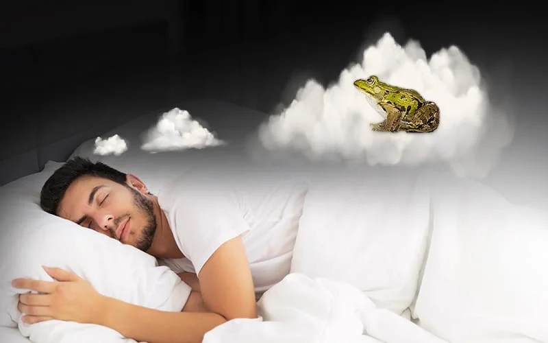 What Does It Mean When You Dream About Frogs? [16 Scenarios]