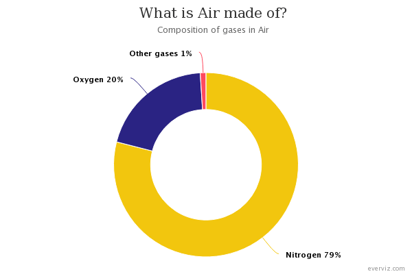 What is air made of? - Donut chart - everviz