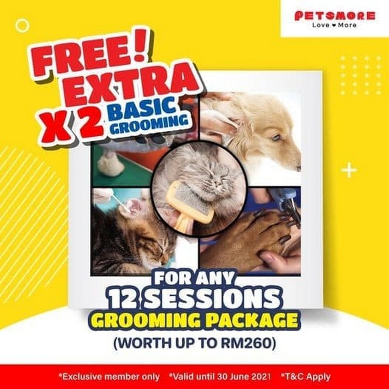 Now till 30 Jun 2021 Petsmore Basic Grooming Promo