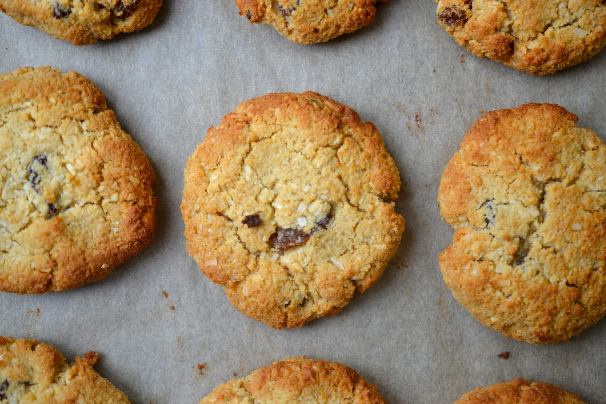 Coconut & Raisin Cookies (Paleo Grain Free) Every Last Bite