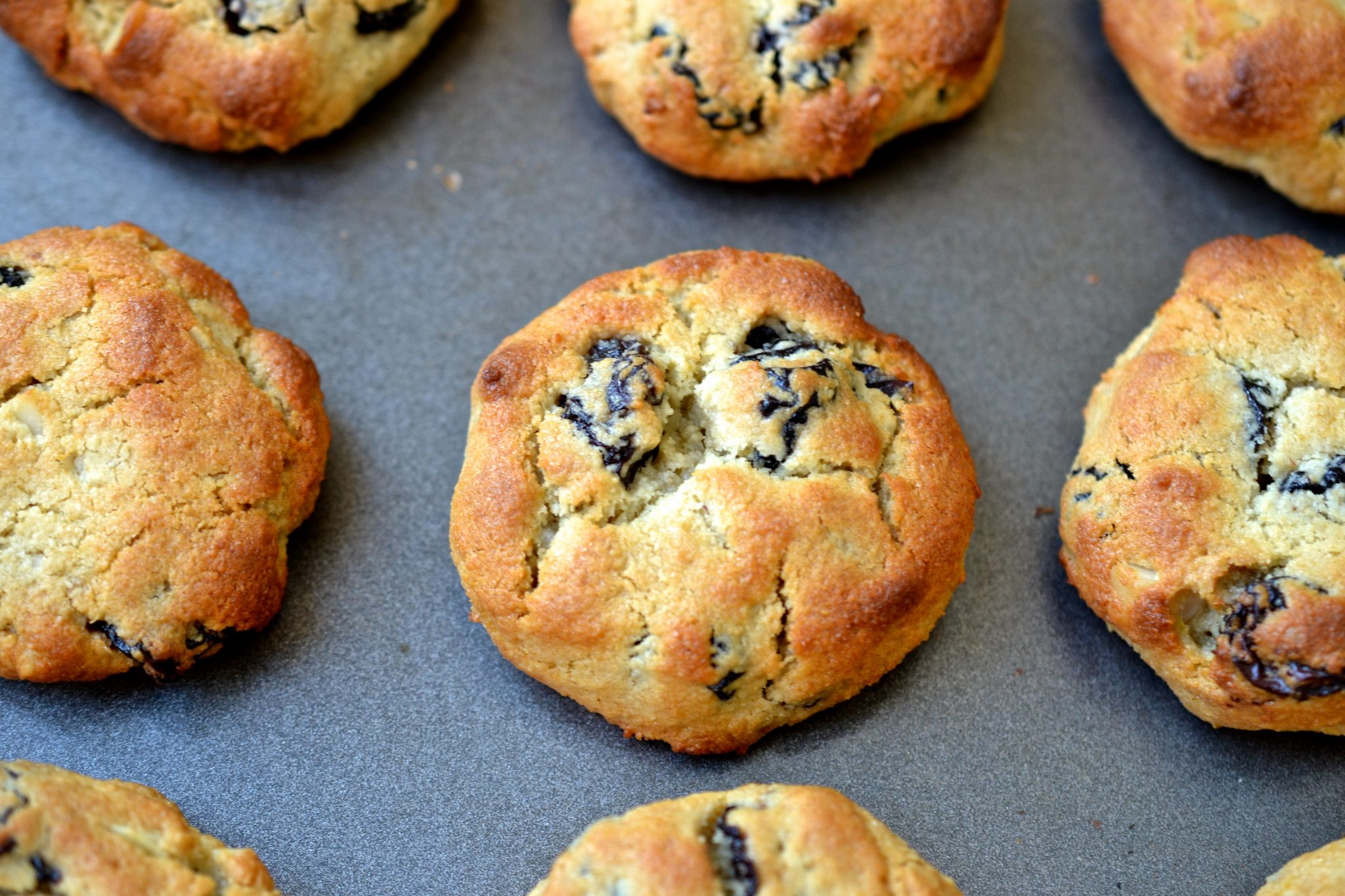 Dried Cherry & Macadamia Cookies