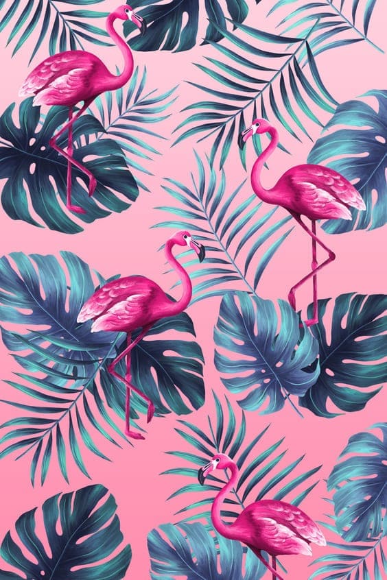 Details more than 89 pink tropical wallpaper latest