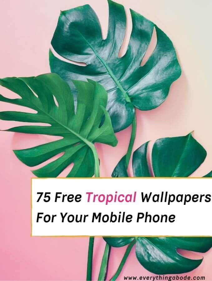 75 Tropical Wallpapers Free For Your Mobile Phone Everything Abode