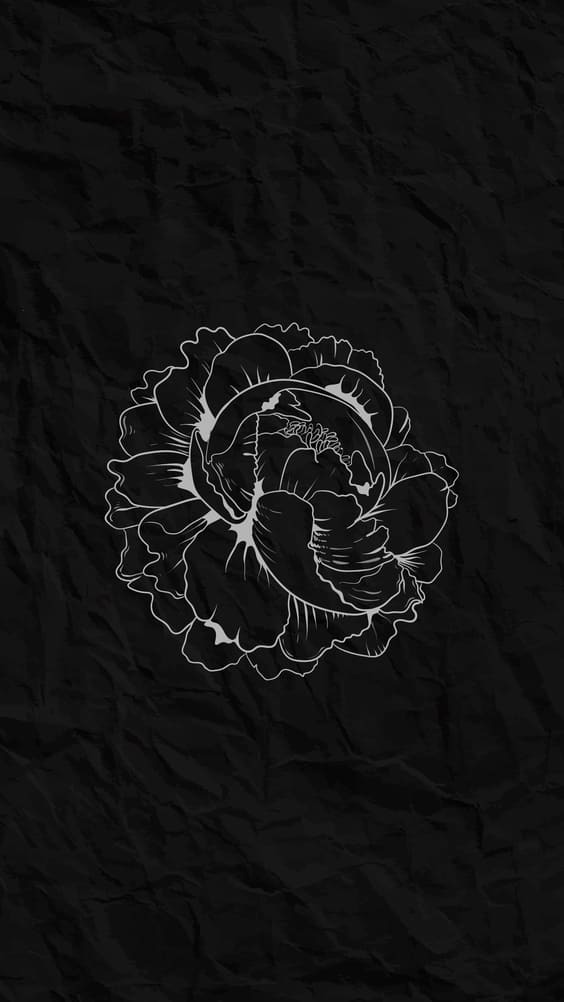88+ Black Wallpaper Aesthetic Flower Picture My