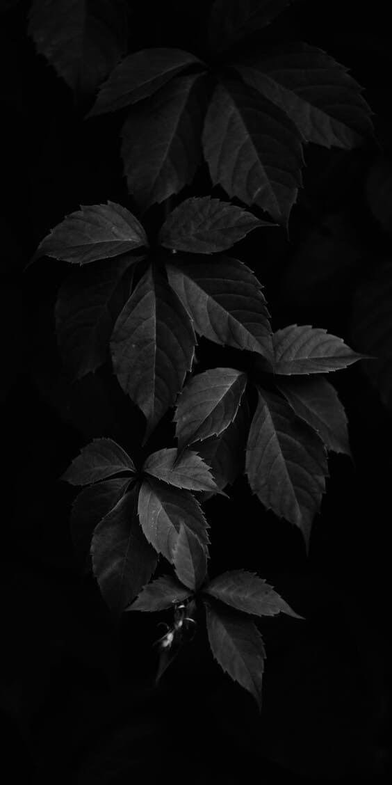 Update 81+ black aesthetic wallpaper hd super hot 3tdesign.edu.vn