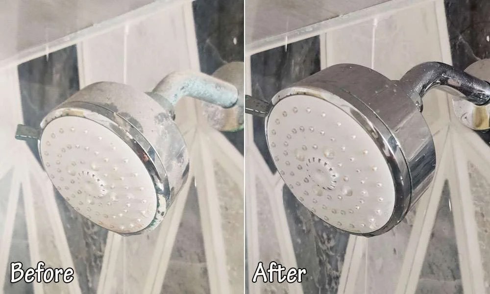 How To Clean Shower Head? Everything Better