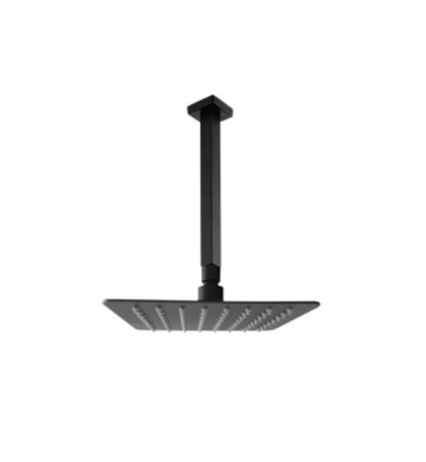 SHY1065 Stainless Steel Ceiling Shower Head Everything For Gas