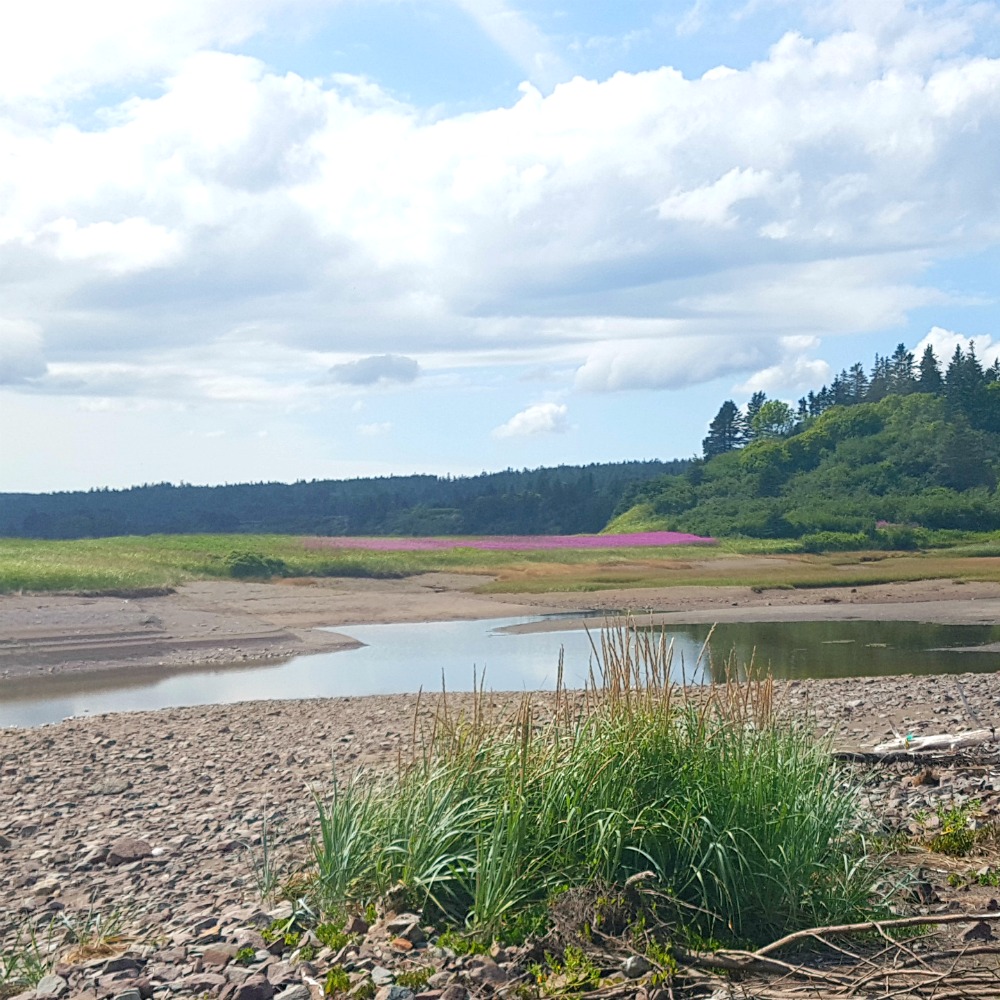 Mc Leod's Beach in New Brunswick