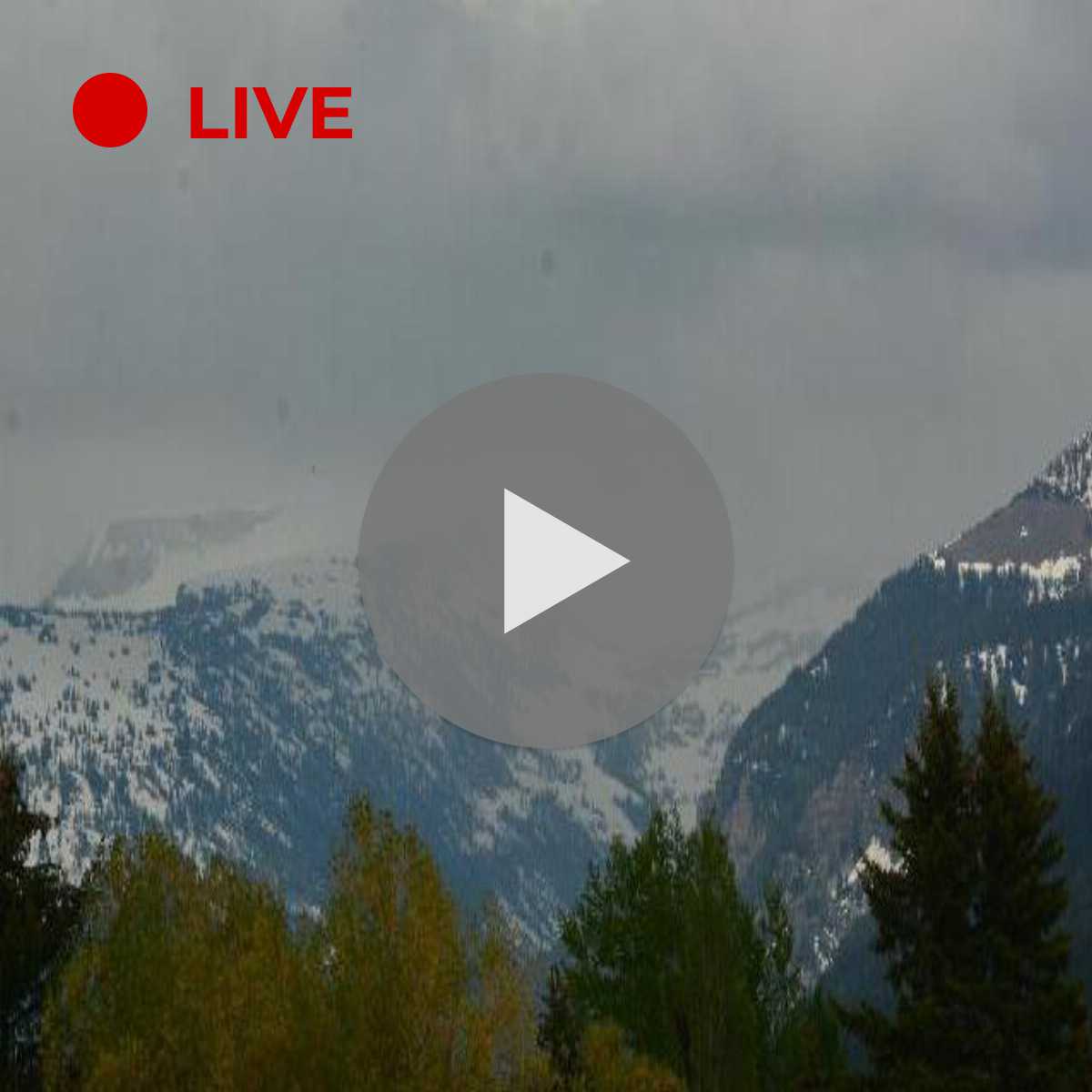 4 Best Driggs cams HD, Live 24/7