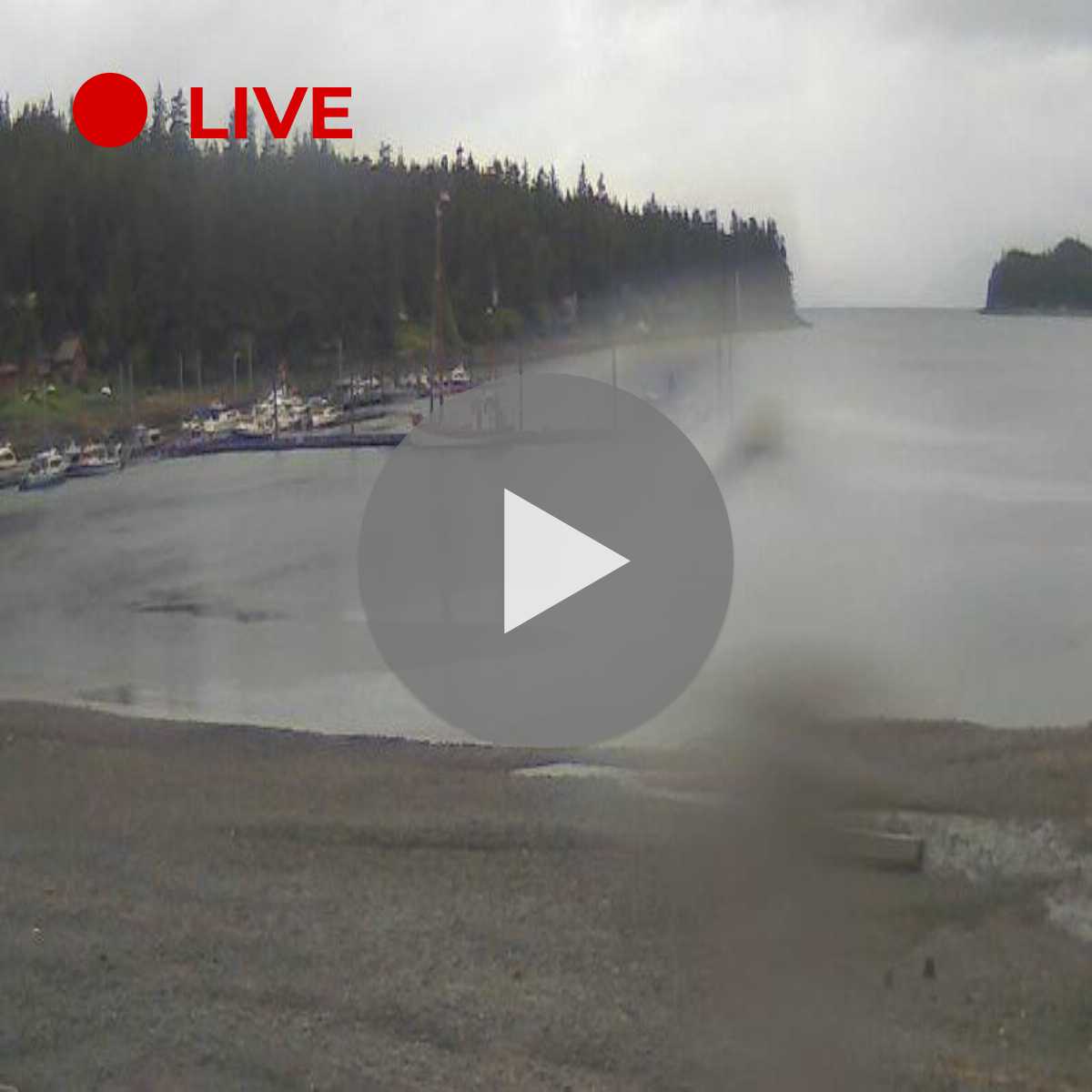3 Best Juneau cams HD, Live 24/7