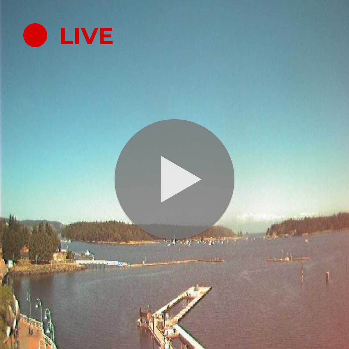7 Best Nanaimo cams HD, Live 24/7