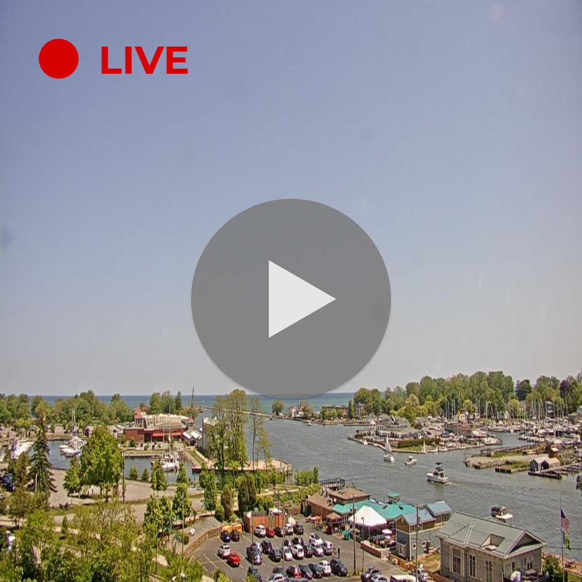 27 Best Rochester cams HD, Live 24/7