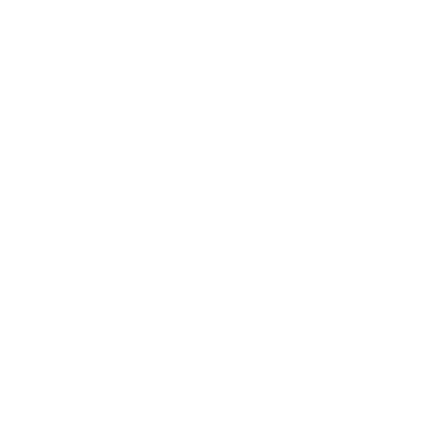 Products Electric Vehicle Engineering Sweden AB