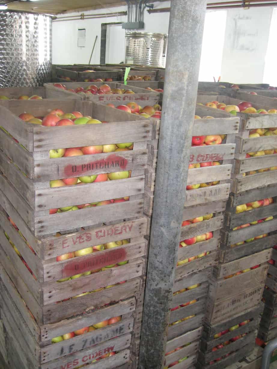 Pressing 2 Eve's Cidery