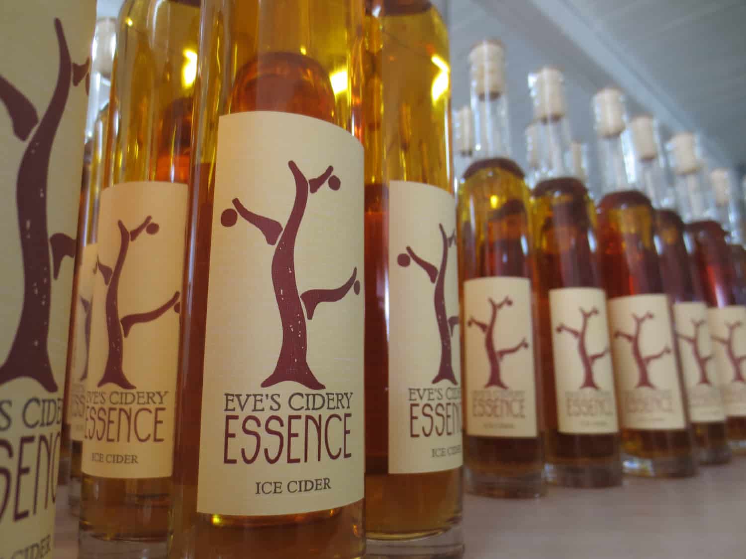 Making Ice Cider Eve's Cidery