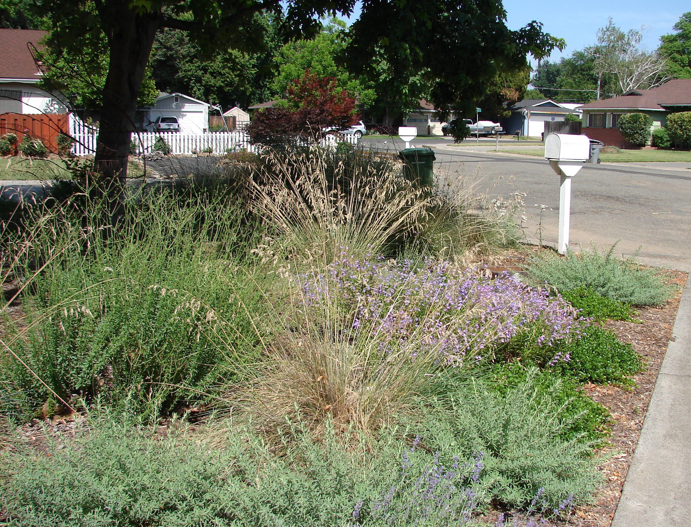 Services Offered by Eve's Garden Design, Chico CA Eve's Garden Design