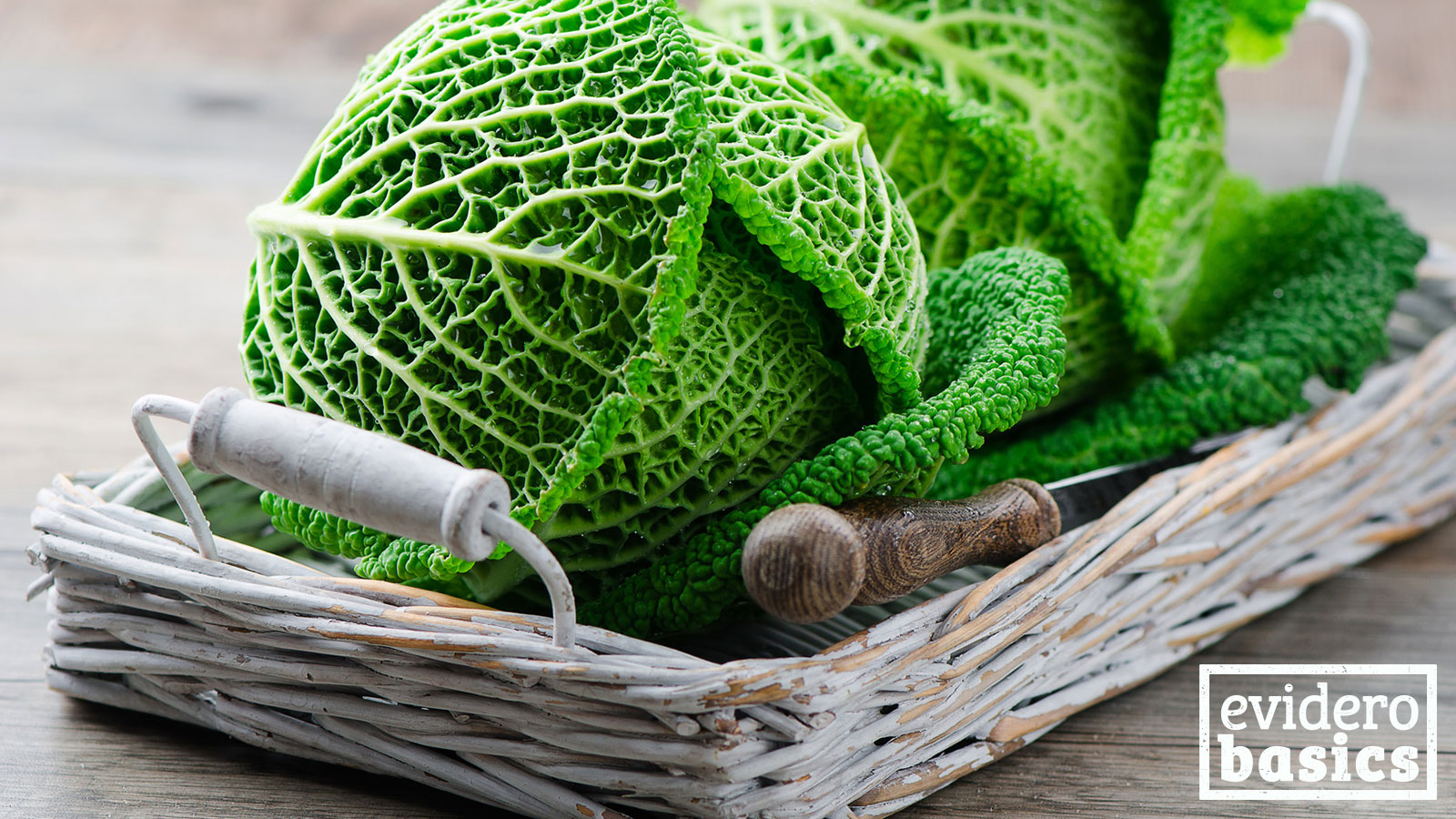 Mit Wirsingkohl vegetarisch und gesund ernähren evidero
