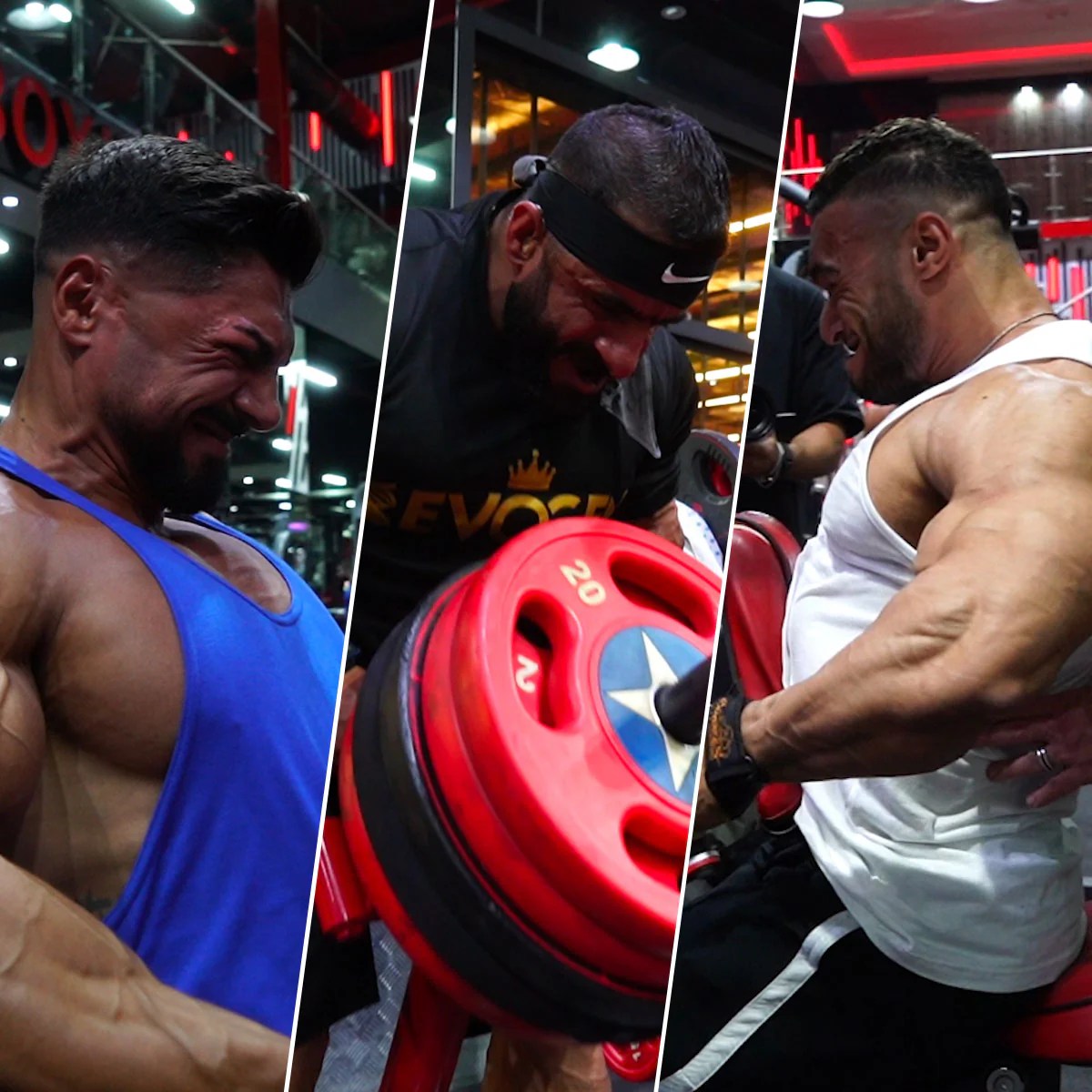 FST7 Back In Dubai with Hany Rambod