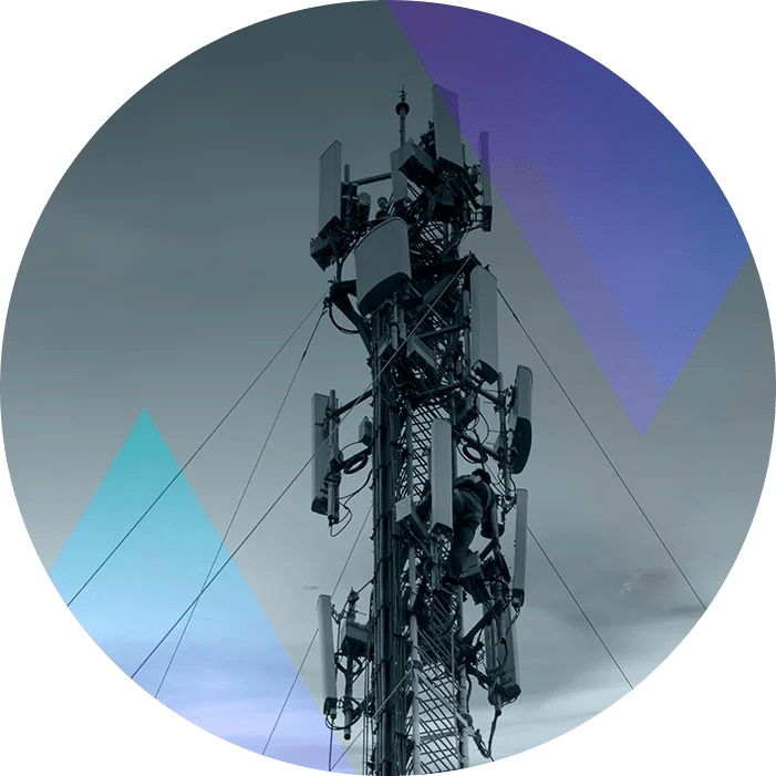 Network Services Evology Solutions