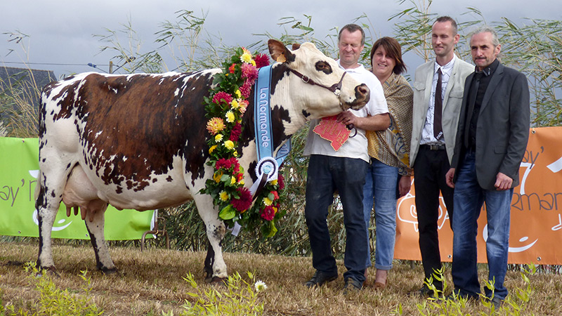 Forte mobilisation des Normands pour la Foire de Madeleine EVOLUTION