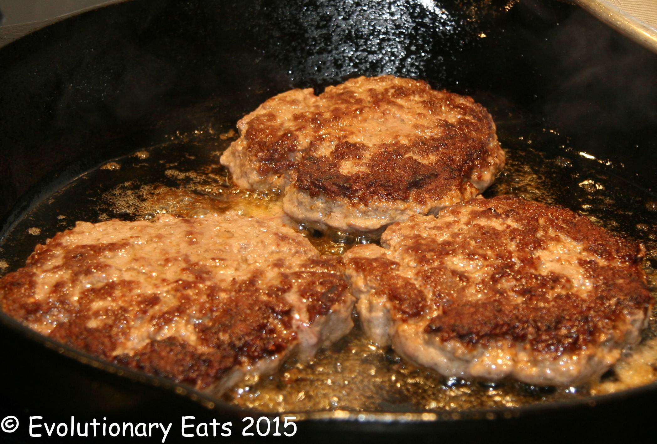 Making burgers 16 Evolutionary Eats