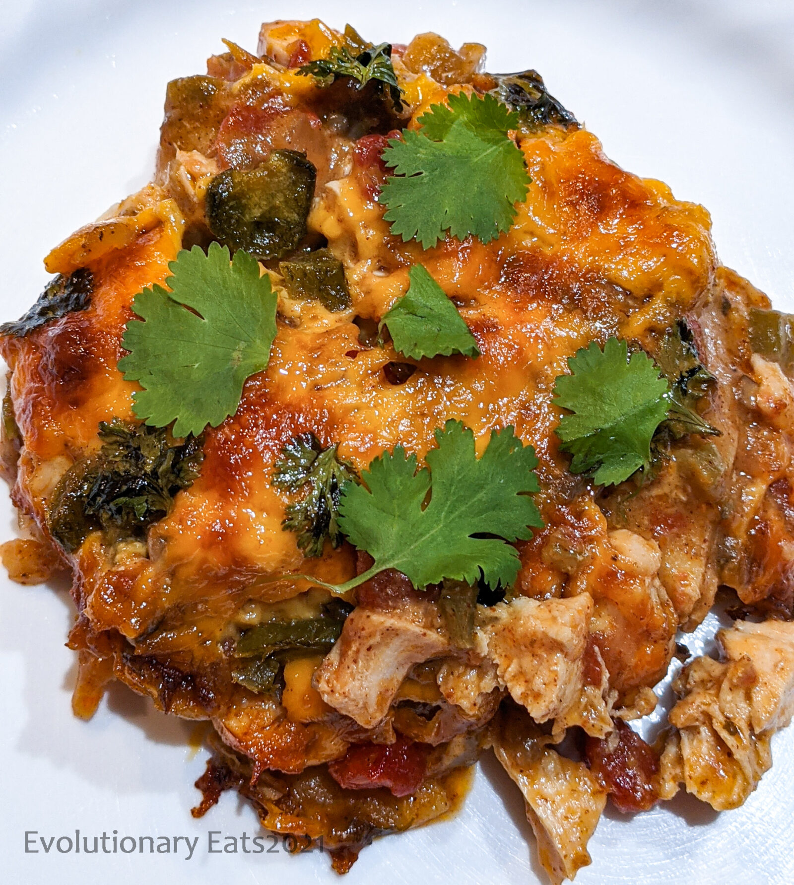 King Ranch Chicken Gluten Free Evolutionary Eats