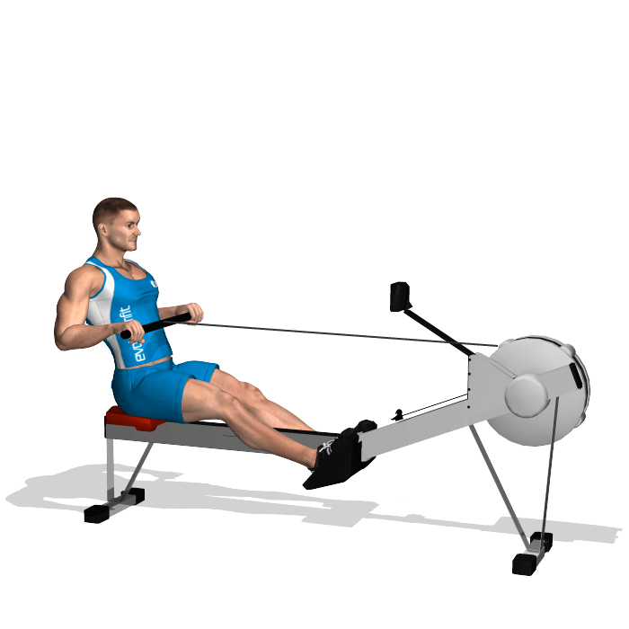ROWING EvolutionFit