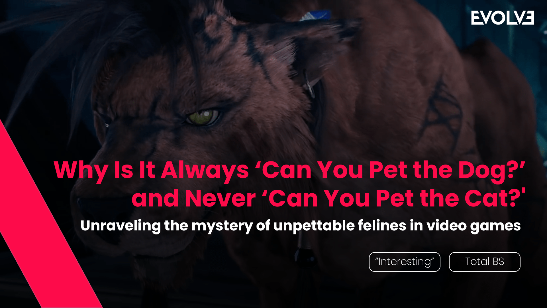 Why is it always ‘Can You Pet The Dog?’ and never ‘Can you Pet The Cat