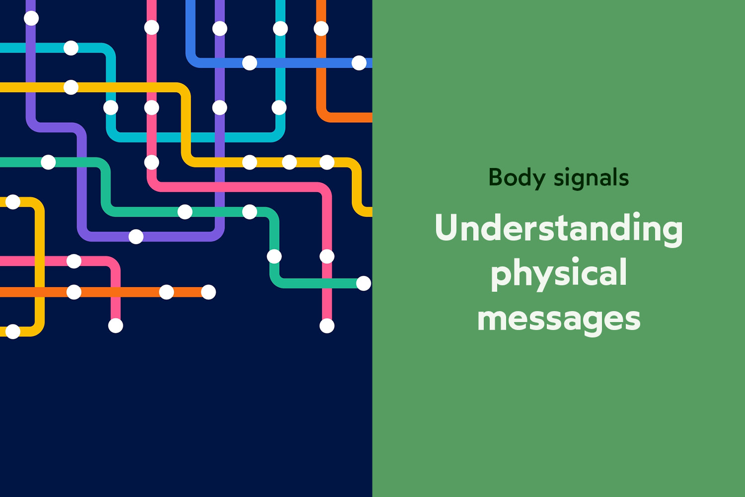 Body Signals Understanding Physical Messages Evolve Chiropractic
