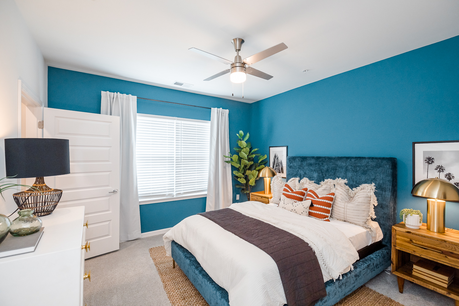 Keeping the Evolution Growing at Evolve Evolve Companies