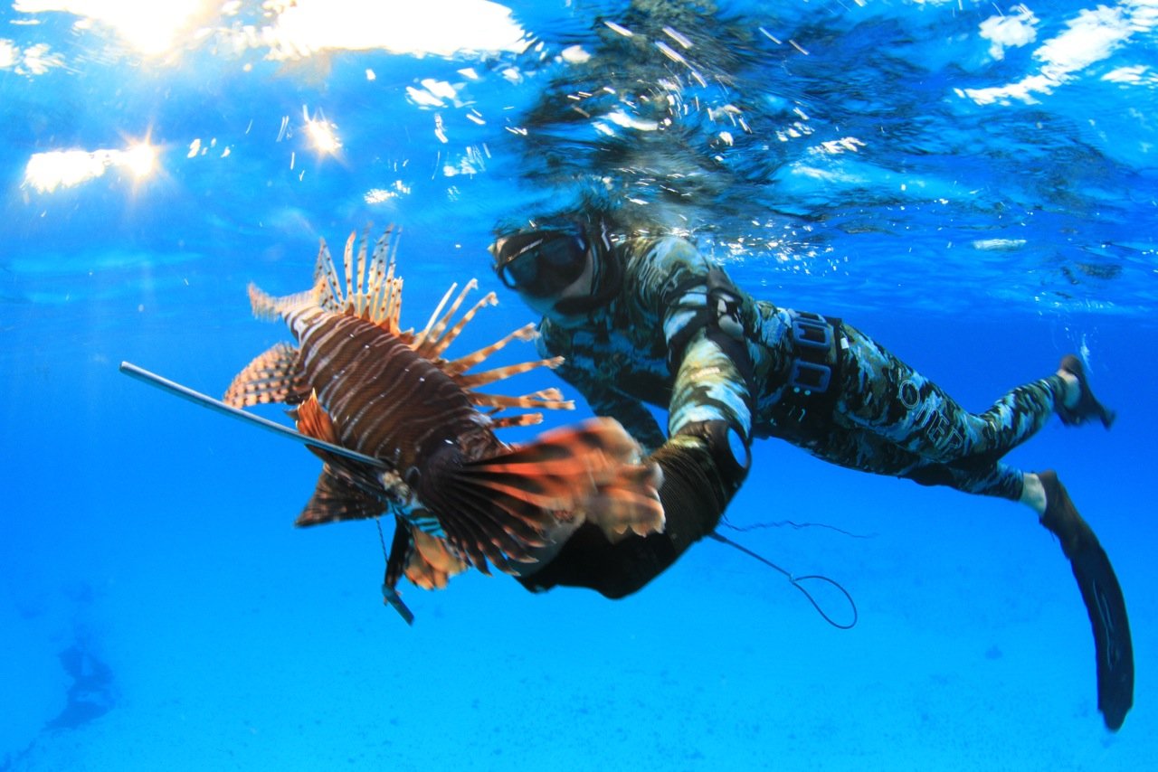 Wilmington Spearfishing June 1416 Evolve Freediving