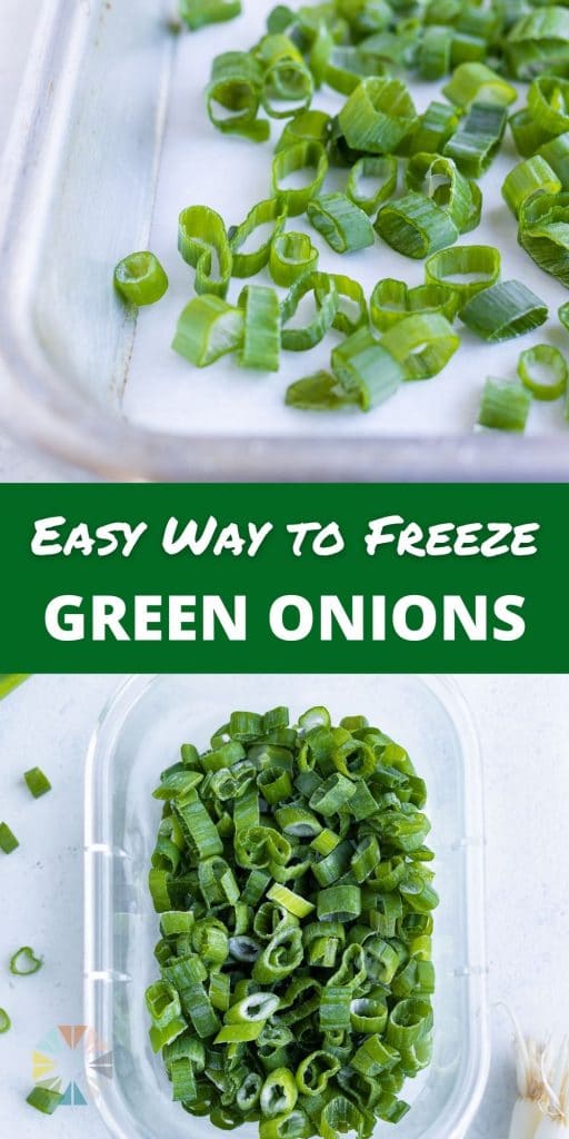 How to Freeze Green Onions (2 Easy Ways!) Evolving Table