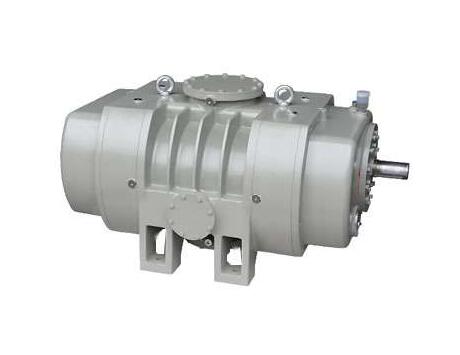 Air cooled roots vacuum pump - Vacuum Pump - EVP Vacuum Solution!